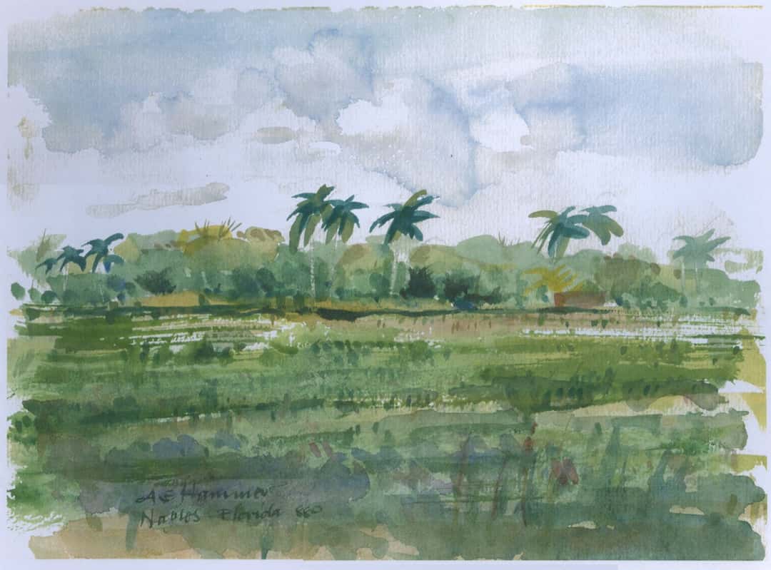 Acuarela de un paisaje con palmeras y un campo verde bajo un cielo nublado, firmada en Naples, Florida